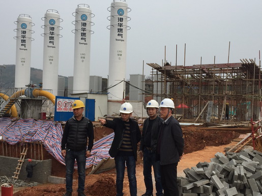 董事長何族興巡視督查LNG應急氣源調(diào)峰站